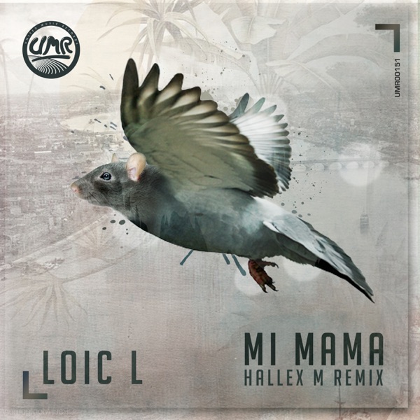 Mi Mama (Hallex M Remix) - Single