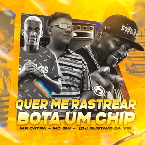 Quer Me Rastrear Bota um Chip (feat. MC GW & Mr. Catra)