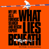 What Lies Beneath - Peter Faulding