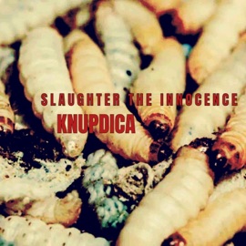 Slaughter the Innocence KNUPDICA, Yeahdudejoshishere & Stacey Trinket