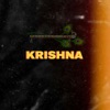 Krishna - Single (feat. Amit Saini Rohtakiya, Vinka, Lal Babu & Maithili Thakur) - Single