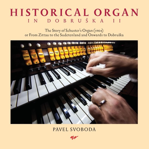 Historical Organ in Dobruška II