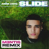 Slide (MENTIS Remix) artwork