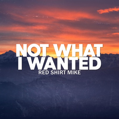 Not What I Wanted - Single