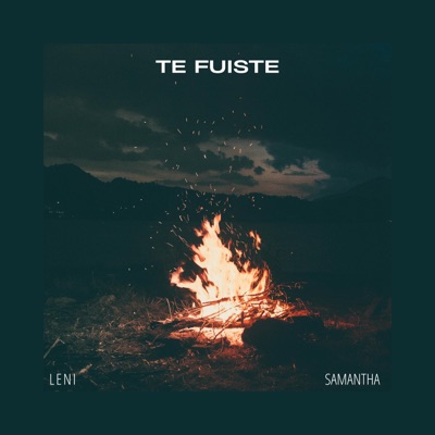 Te fuiste (feat. Samantha) - Single