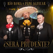 ¿Será Prudente? artwork