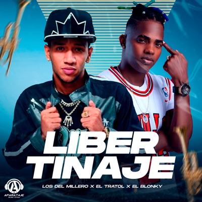 Libertinaje - Single
