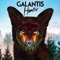 Hunter - Galantis lyrics