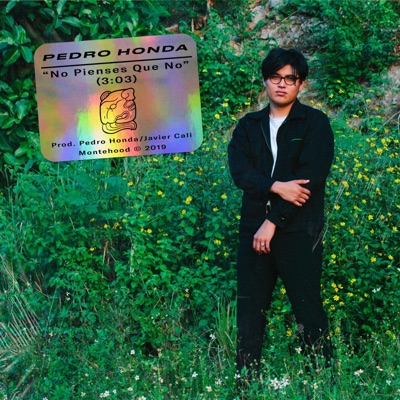 No Pienses Que No - Single