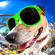 Who's Phone Is Ringing (Whose Mine, It's Mine Who Let the Dogs out Impractical Jokers Ringtone 2018) - Marimba Remix