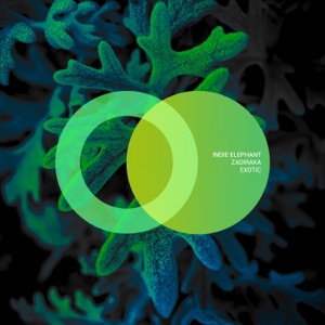 Exotic - Single
