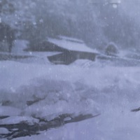 Winterwndland - Single - Mozey