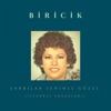 Biricik - İstanbul Sokakları