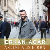 Aklımı Aldın Sen artwork