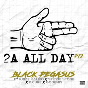 2A ALL DAY Pt. 2 (feat. Krizz Kaliko, Stevie Stone, Godemis & D.Cure) - Single