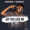 Say You Love Me (Remix) [feat. Singah & Teeklef] - Deribb lyrics