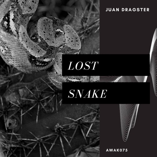 Lost Snake - Single