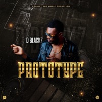 Prototype - Single - D Blackz