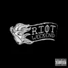 RiotWeekend - Never Again