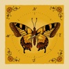 The Lepidopterist