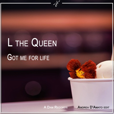Got Me for Life (Andrea D'Amato Edit) - Single