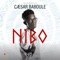 Nibo - CAESAR BABOULE lyrics