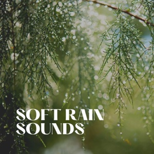Soft Rain Sounds