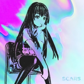Scars Within Destruction