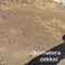 kool - komatera lyrics
