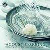 Acoustic Spring: 50 Jazz for Fashionable Eateries, Your Coffee Break, Jazz for Luncheons, Posh Jazz Background Music