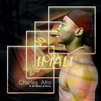 Imali (feat. Mr Maker & Percy) - Single - Charles Afro