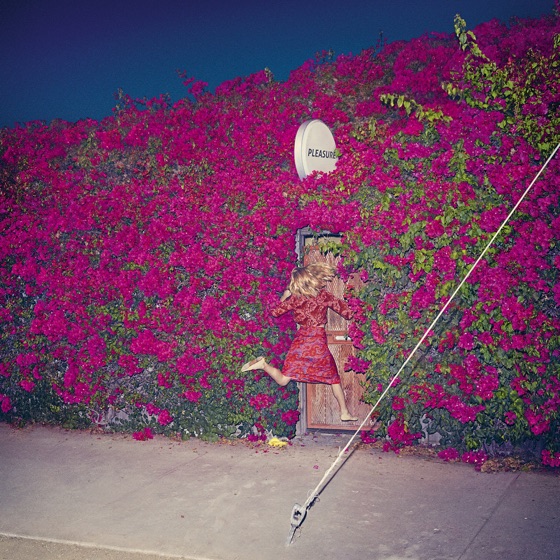 Cover artwork for The Wind