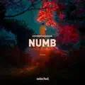 numb
