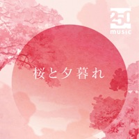 cherry blossoms and sunset - Single