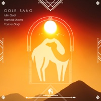 Gole Sang - Single - Idin Gorji, Hamed Shams & Yashar Gorji