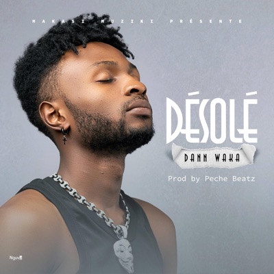 Désolé - Single