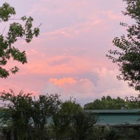 Graveyard - Single - Dessie