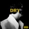 DRY - Unntak lyrics