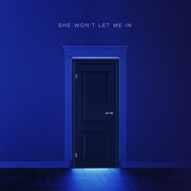 SHE WON'T LET ME IN (feat. Rod Pillz & Wayne Authentic) Viccity Spazzin