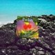 Pochette d'album