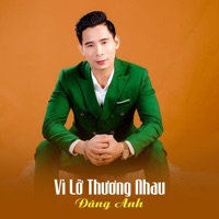 Vì Lỡ Thương Nhau - Single - Đăng Anh