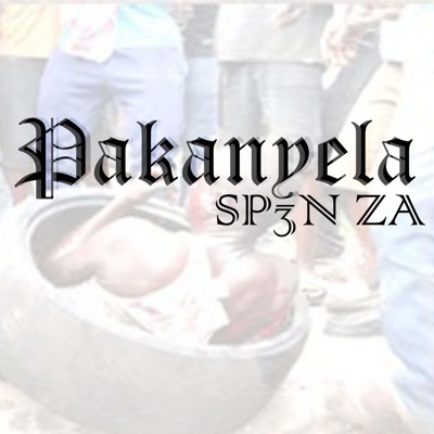 Pakanyela (Radio Edit) - Single