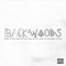 BACKWOODS (feat. Yelohill) - Sun Scott lyrics