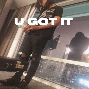 U Got it (feat. FLEE) - Single