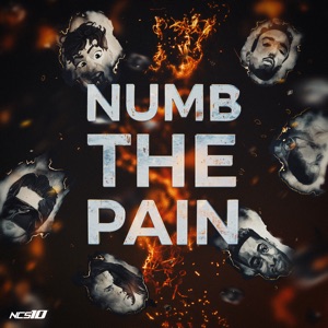 Numb the Pain (feat. Catas, Le Malls & CHENDA)