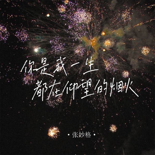 你是我一生都在仰望的烟火 - Single