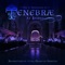 Tenebrae - Benedictines of Mary, Queen of Apostles lyrics