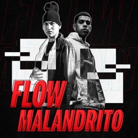 Flow Malandrito (feat. Episteme) ANGELTF