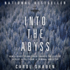 Into the Abyss: How a Deadly Plane Crash Changed the Lives of a Pilot, a Politician, a Criminal and a Cop (Unabridged) - Carol Shaben