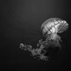 Get Old (Too Late To) - Single - Wacky Kids